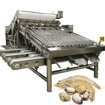 Buen precio Equipo de clasificación de camarones de acero inoxidable Estable anti-erosión 4.9KW Máquina de tamaño de camarón para planta de camarón clasificador automático de camarón en línea