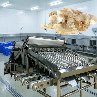 Buen precio Máquina de clasificación de camarones de rodillos duraderos 1500kg-2000kg/H Sortidora de camarones de rodillos de alta estabilidad Máquina de tamaño de camarones de rodillos para mariscos en línea