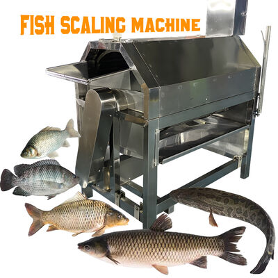 Buen precio Equipo de procesamiento de pescado de acero inoxidable Máquina de raspado de escamas de pescado Equipo de corte de escamas de pescado Máquina eléctrica de desescalamiento en línea