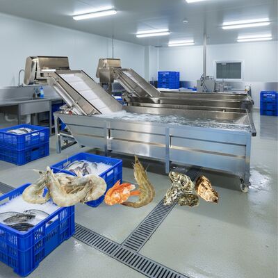 Buen precio Zolim Lavadora de burbujas para mariscos 2.2kw Lavadora de pescado Smart Lavadora de camarón para la fábrica de procesamiento de mariscos en línea