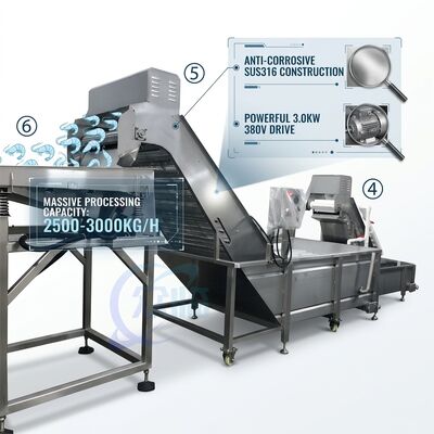 Buen precio Heavy Duty Shrimp Deheading Production Line Precision SUS316 1000-1500KG 11.7KW 415V en línea