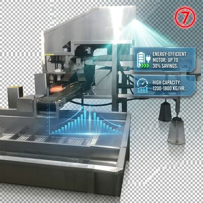 Buen precio 380V Powered Shrimp Head Body Separator Anti Corrosive SUS316 1000-1500KG 9.0KW 440V en línea