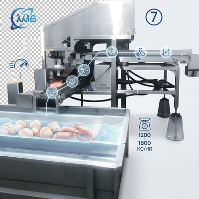 Buen precio High Output Shrimp Processing Machine Hygienic SUS304 500-800KG 0.8KW 220V For Seafood Export Company en línea