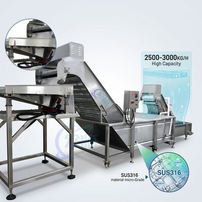 Buen precio Multiscene Shrimp Deheading Sorting Machine SUS304 Stainless Steel 1500-2000KG 3.0KW 380V en línea