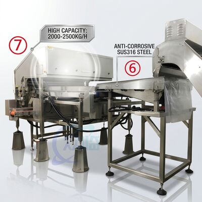 Buen precio Efficient Shrimp Deheading Production Line Precision SUS316 1500-2000KG 7.5KW 415V en línea
