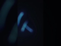 SUS304 Máquina práctica de limpieza de camarón, separador de desechos de camarón polivalente